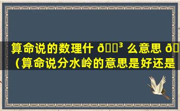 算命说的数理什 🌳 么意思 🐟 （算命说分水岭的意思是好还是坏）